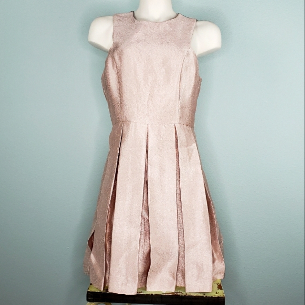 Gianni Bini Blush Metallic dress